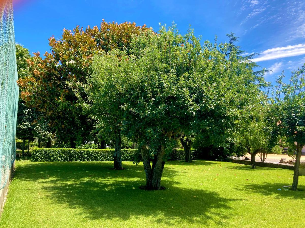 Quinta Dom Sapo - Agroturismo Viana do Castelo Zewnętrze zdjęcie